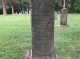 Headstone for Mary, Louiza, Sarah, Amanda, and Charlotte Zentmeyer