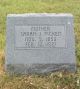 Headstone for Sarah Adams Picken