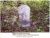 Rebecca Vaught Santmyers Headstone